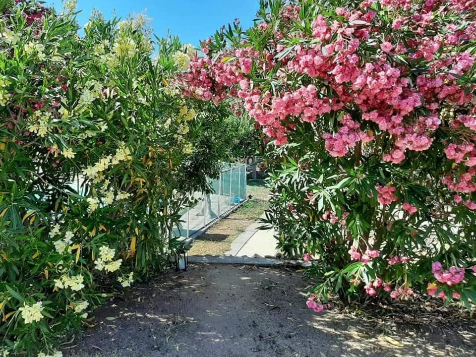 Orasi Sartène Gîte Casa Fiurita Exterior foto