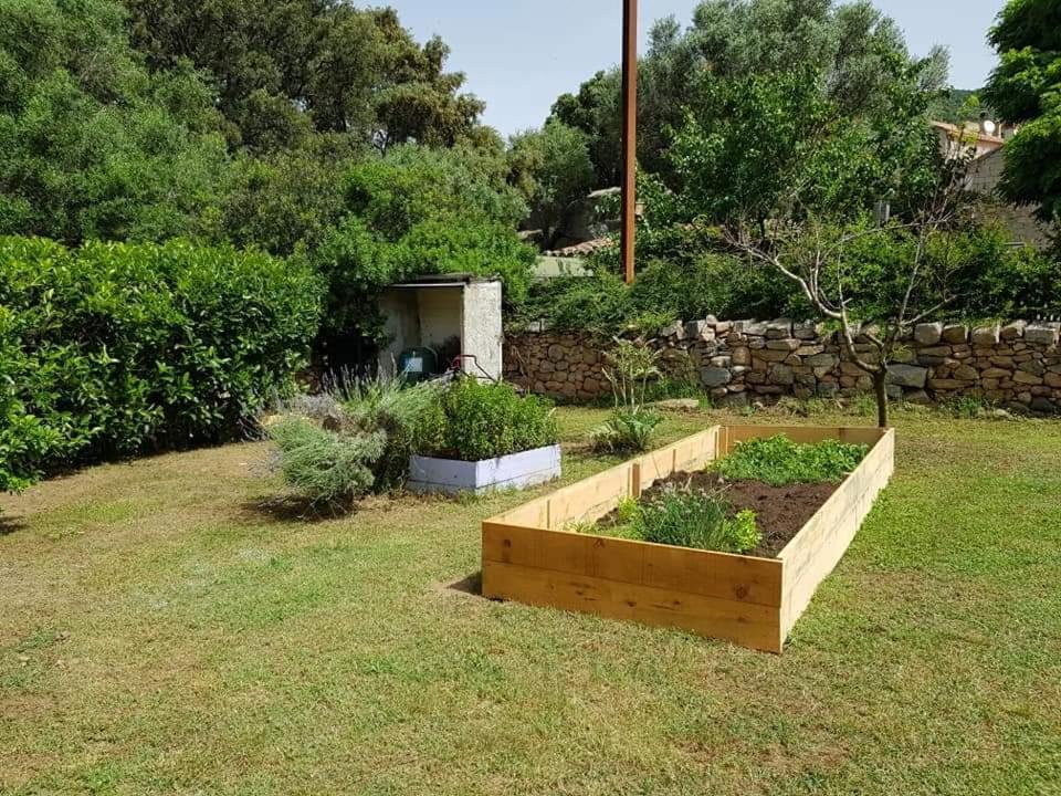 Orasi Sartène Gîte Casa Fiurita Exterior foto